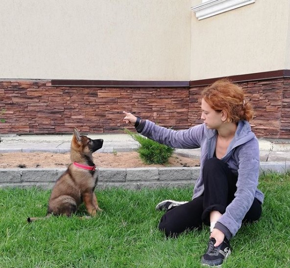 A German Shepherd puppy sitting on the green grass while looking at the finger of the woman pointing on the right