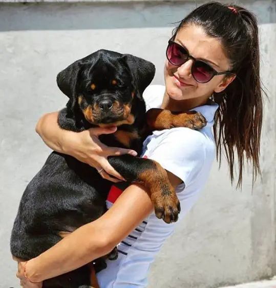 woman carrying a Rottweiler puppy in her arms