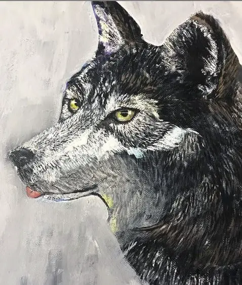 a realistic drawing of a Wolf