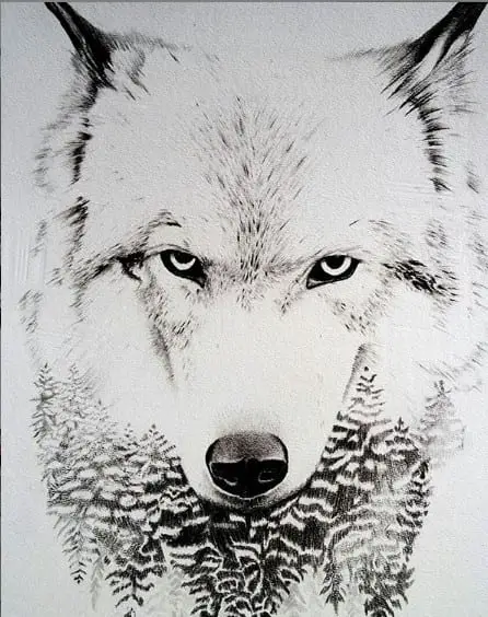 an drawing of a furious Wolf