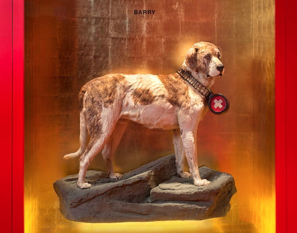 A St. Bernard Dog figurine standing on the rock inside a capsule