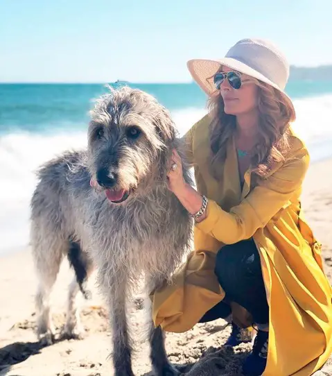 An Irish Wolfhound standing by the seashore next to a woman