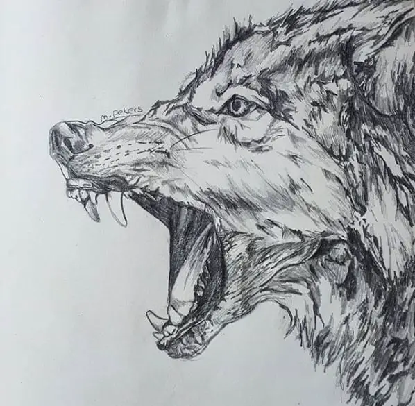 a drawing of an angry Wolf