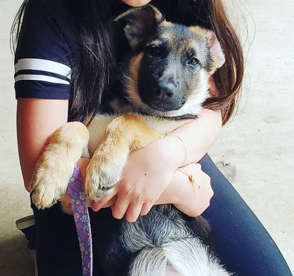 A woman sitting on the chair while hugging her German Shepherd puppy