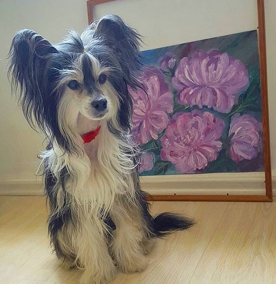 A Chinese Crested Dog sitting on the table with a flower painting behind her