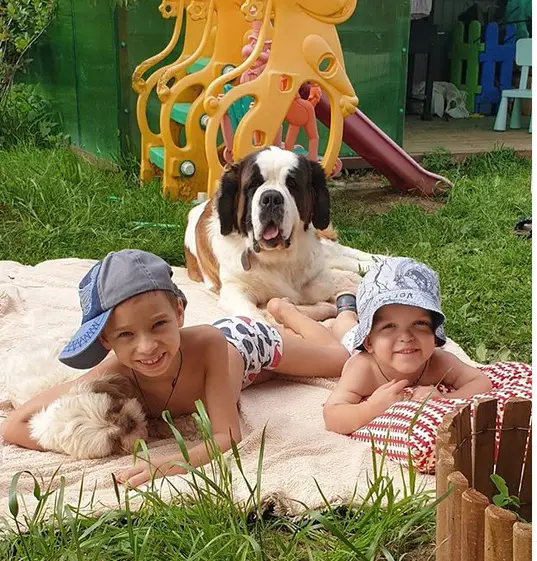 A St. Bernard lying on the blanket in the yard with two kids in front of him