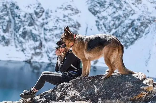 A German Shepherd standing on top of the rock with a woman while looking at the lake