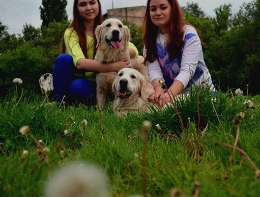 two girls on the grass with their two Golden Retrievers