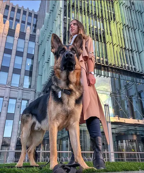 A woman standing on the grass with her German Shepherd in front of a tall building