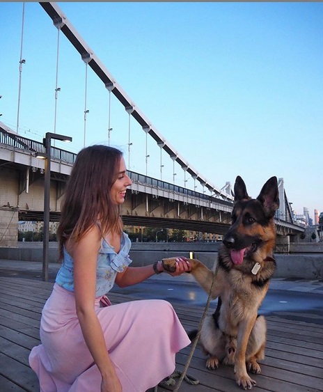 A German Shepherd sitting on the wooden floor with its paw on the hand of a woman beside him