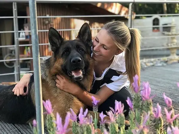 A German Shepherd lying on the pavement while being embraced by a woman