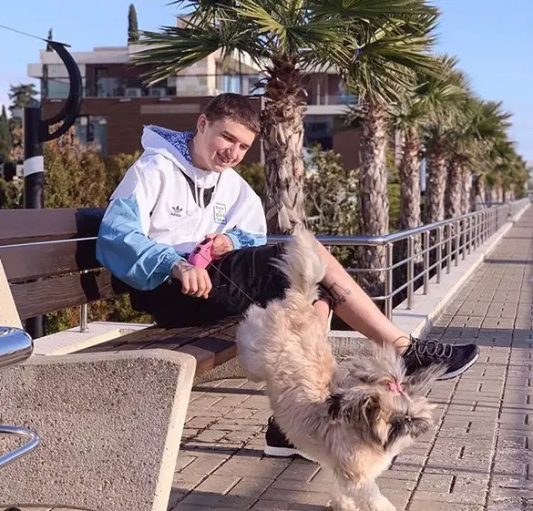 a man sitting on the bench while looking at the Shih Tzu jumping down