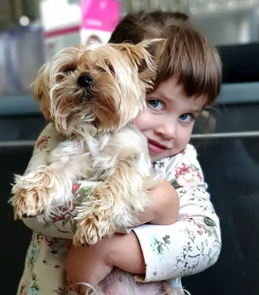 a girl hugging a Yorkie puppy