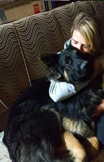 A woman sitting on the couch while hugging a German Shepherd