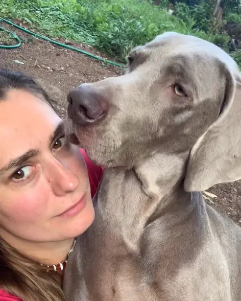 A woman taking a selfie next to her unamused Weimaraner
