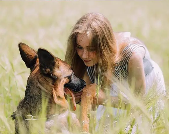 A German Shepherd with a woman in front of him in the field of grass