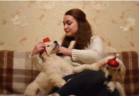 a woman sitting on the couch with her two Golden Retriever puppies beside her