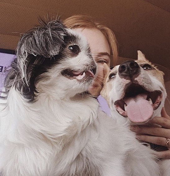 a woman with her Japanese Chin and her other dog