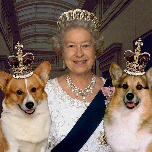 Queen of England with her two Corgis