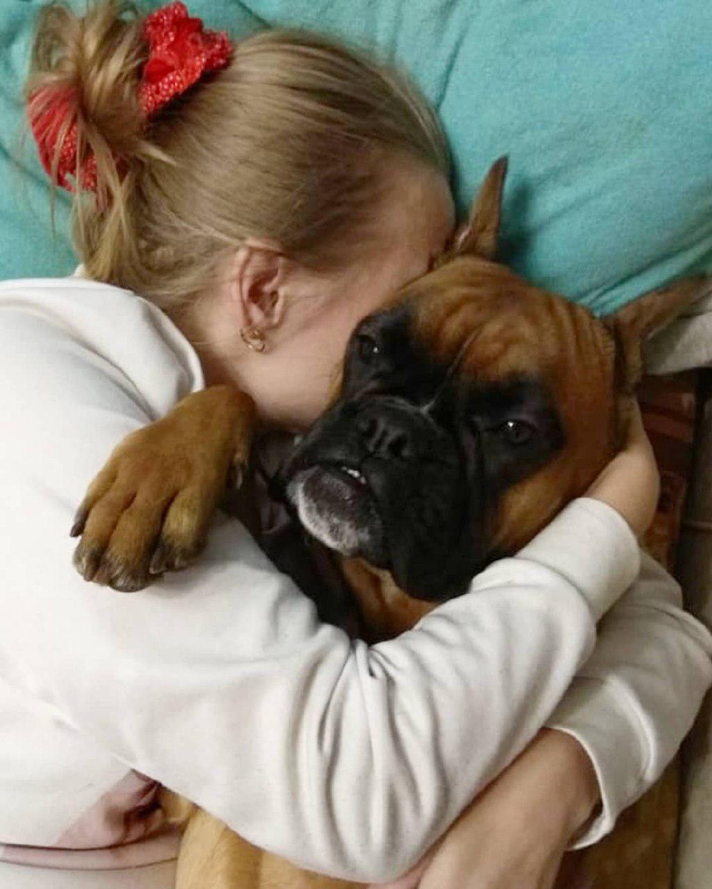 A woman hugging a Boxer on the bed