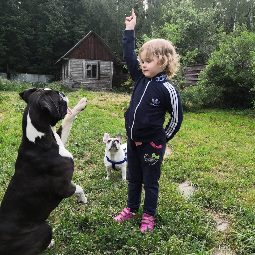 A Boxer in the yard sitting on the grass while raising its one paw while a kid is standing across him pointing its finger in the sky
