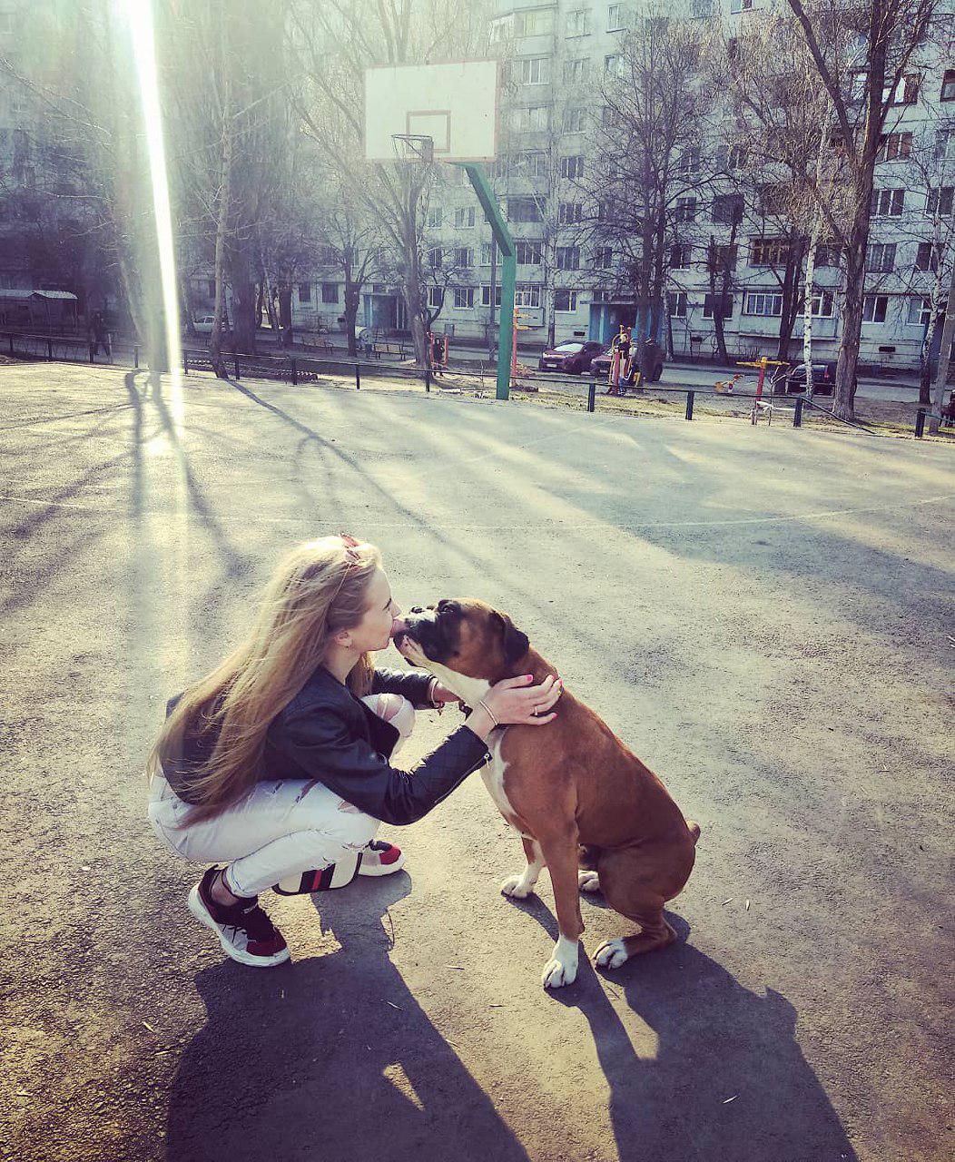 A woman at the park kissing a Boxer dog