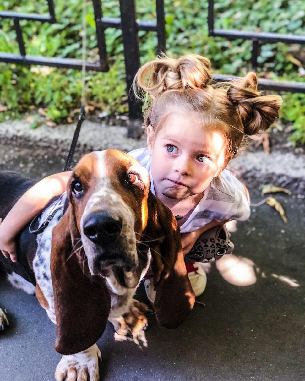 A Basset Hound standing on the pavement while a little girl is sitting beside and embracing him