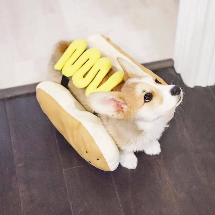 Corgi in hotdog costume