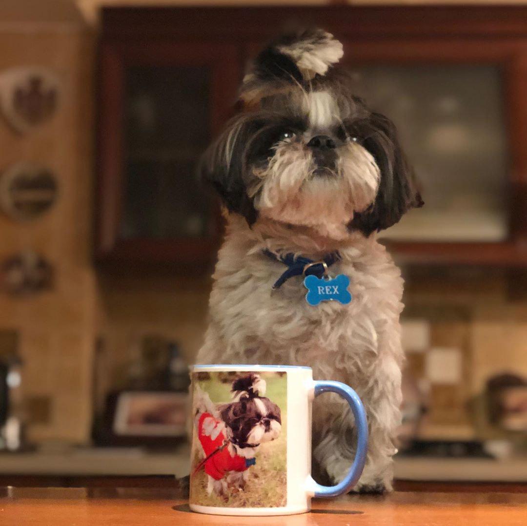 A Shih Tzu sitting on top of the table behind a coffee mug printed with its face