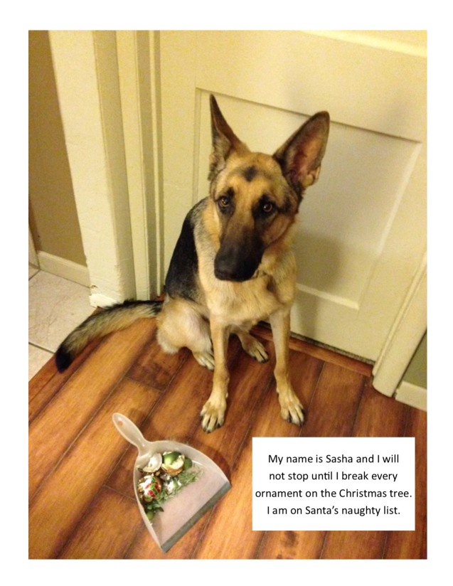 German Shepherd sitting on the floor with a broken christmas ornament in a dust pan photo with a text 