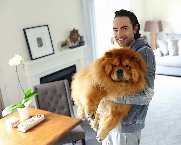A man carrying a Chow Chow