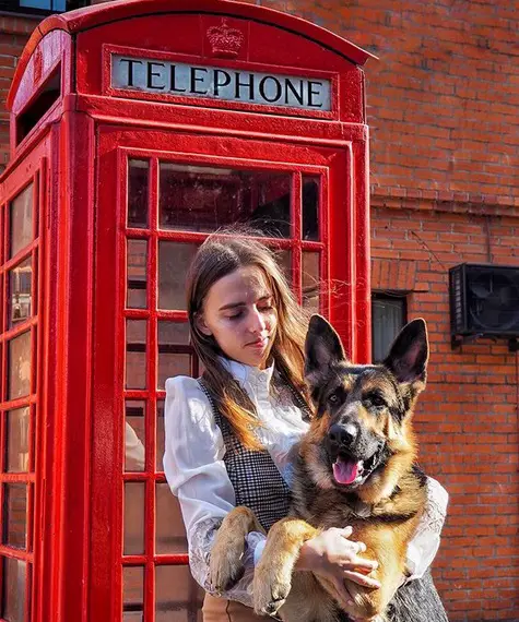 A woman standing in front of the payphone while hugging her German Shepherd