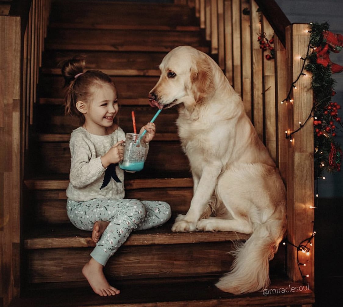 a young girl sitting on the stairs in front of the Golden Retriever while sharing a smoothie