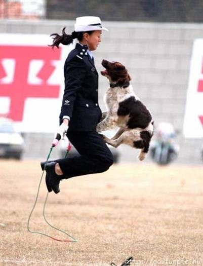 woman rope jumping with a Springer Spaniel dog