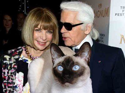 Karl Lagerfeld with his Siamese Cat