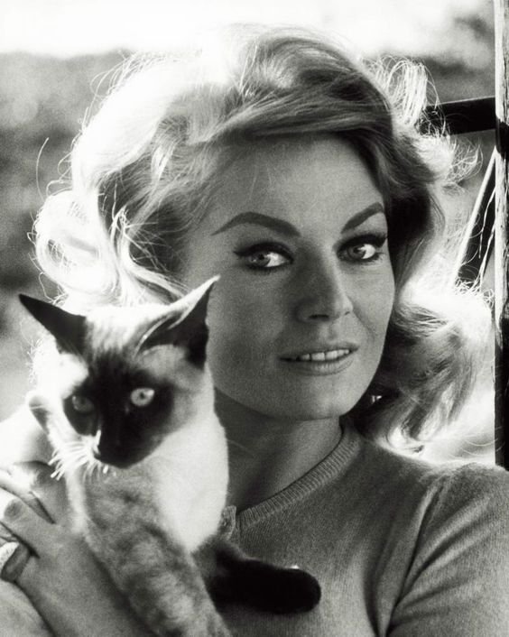 Anita Ekberg carrying her Siamese Cat