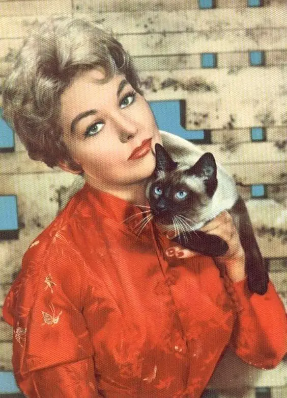 Kim Novak with Pyewackett from “Bell, Book and Candle.” and her Siamese Cat
