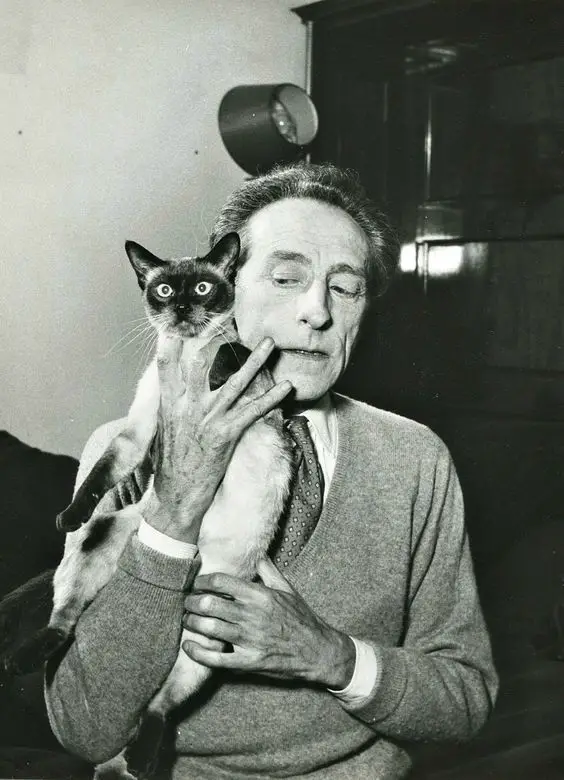 black and white photo of Jean Cocteau with his Siamese Cat close to his face
