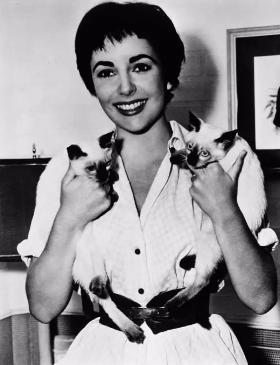 black and white photo of Elizabeth Taylor with her two Siamese Cats