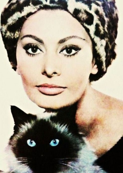 Sophia Loren with her Siamese Cat
