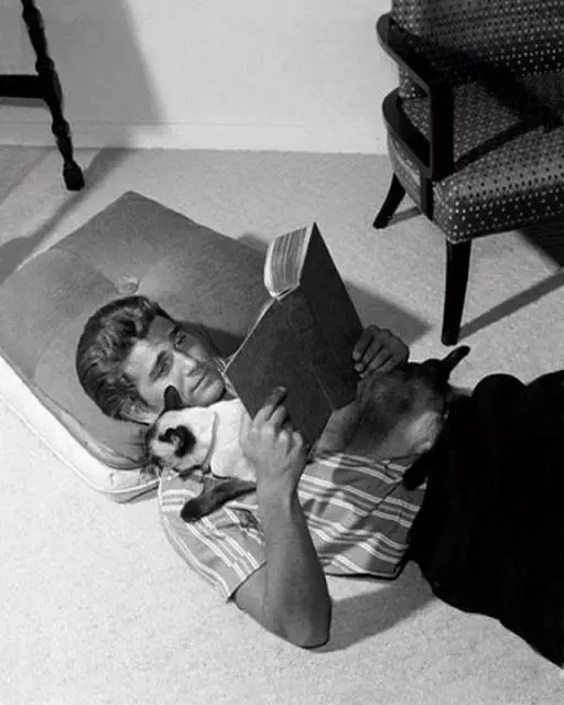Michael Landon on the floor reading his book with a Siamese Cat in his chest