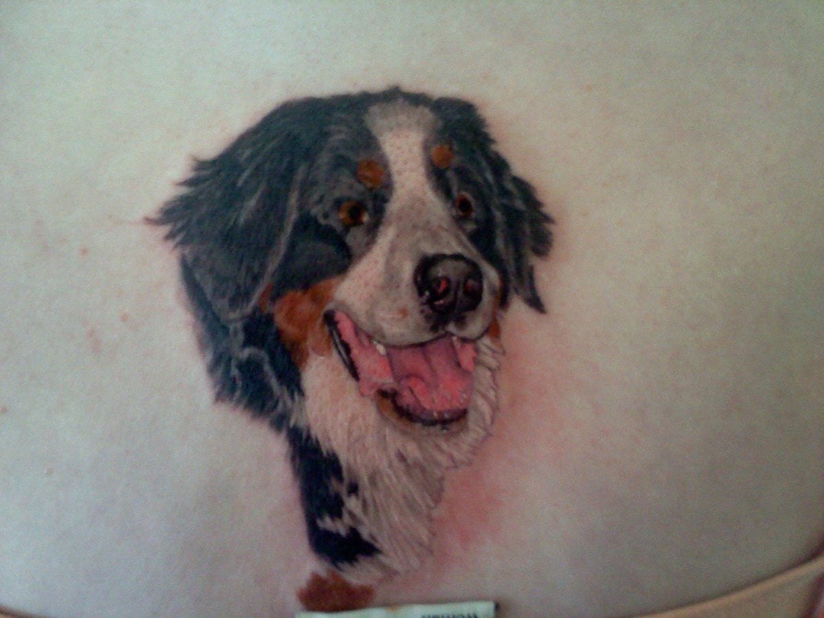 a small happy face of a Bernese Mountain Dog tattoo