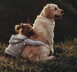 a young girl sitting on the grass while hugging her Golden Retriever on her back