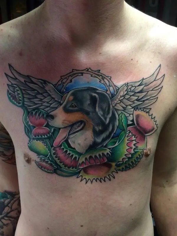A Bernese Mountain Dog with angel wings and exotic plants tattoo on the chest of a man