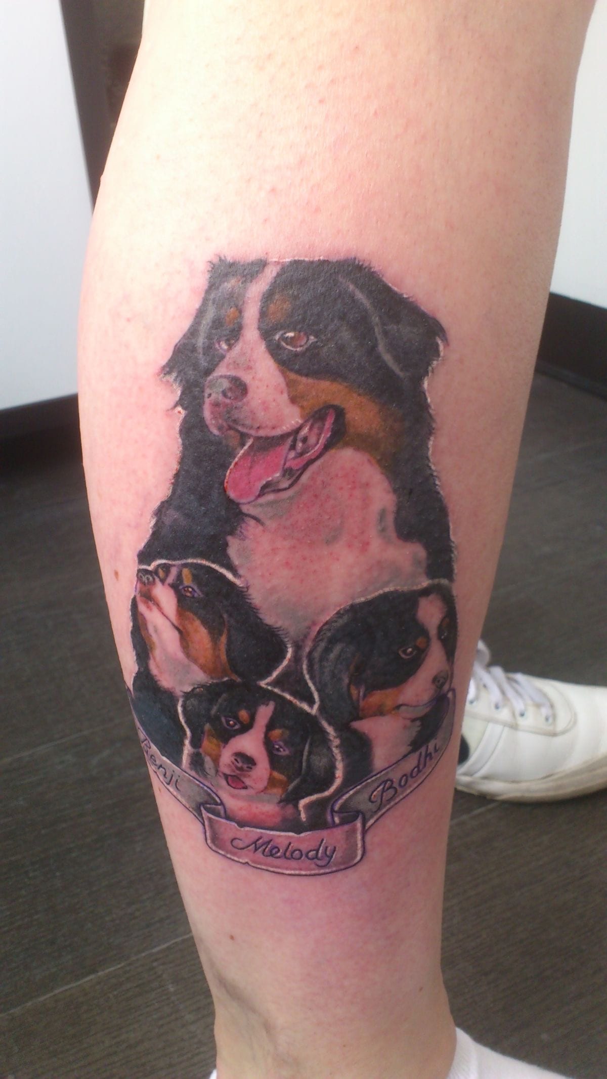 a Bernese Mountain Dog family tattoo on the leg