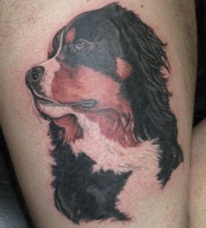 sideview face of a Bernese Mountain Dog tattoo on the thigh