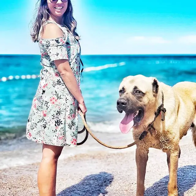 A woman standing by the beach while holding the leash of her Anatolian Shepherd standing beside her