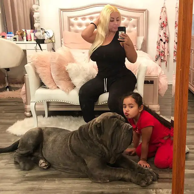 a woman taking a mirror photo while a Neapolitan Mastiff is lying in front of her on the floor and with a young girl kneeling towards it giving it a kiss
