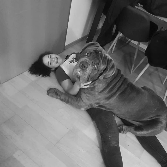 A woman lying on the floor with her Neapolitan Mastiff on top of her