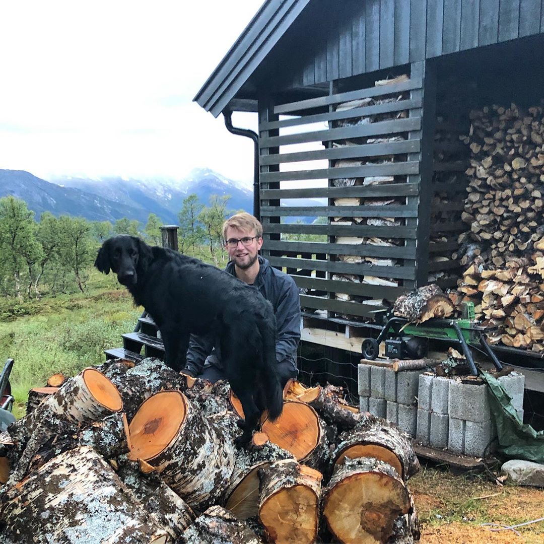 black Flat Coated Retriever standing on top of a chopped wood with it's owner behind him